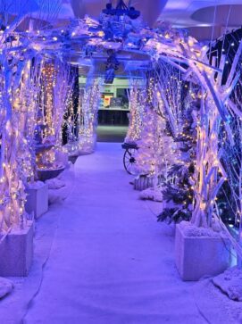 Long Term Fairy Light walkway Christmas installation