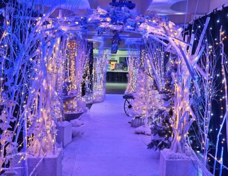 Long Term Fairy Light walkway Christmas installation
